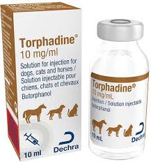 Opioid Use in Equine Practice