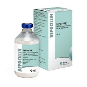 Antibiotic Use in Equine Practice